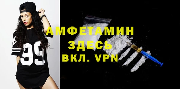 гидра Арсеньев