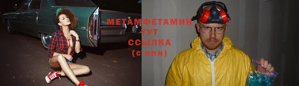 гидра Арсеньев