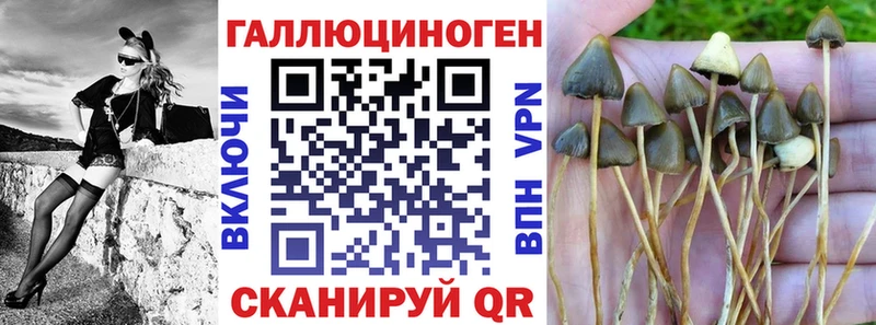 Галлюциногенные грибы мицелий  Купить  Лянтор 
